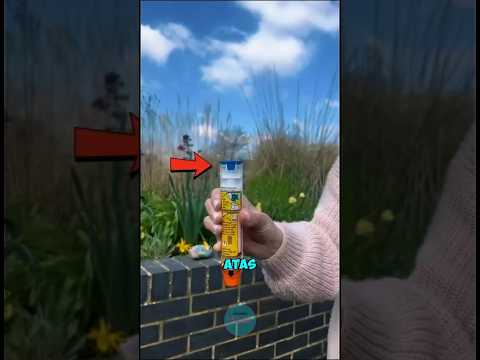 Epipen yang bisa menyelamatkan nyawa