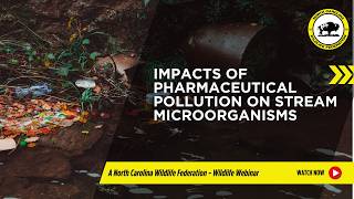 Impacts of Pharmaceutical Pollution on Stream Microorganisms | NC Wildlife Federation