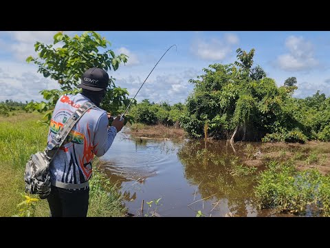 TRIP GOKIL..! MANCING BARENG DENGAN REKAN YANG TIDAK PERNAH CASTING