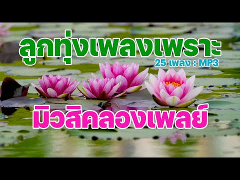 ลูกทุ่งเพลงเพราะ : 25เพลง MP3 มิวสิคลองเพลย์