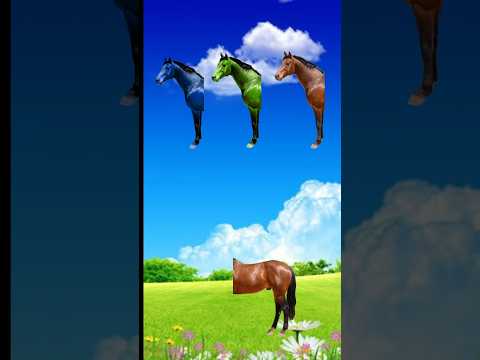 assalamu walikum ❤️#shorts #horse