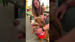 Seamus' adoption story