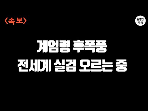 (속보) 계엄령 후폭풍... 위기의 한국증시