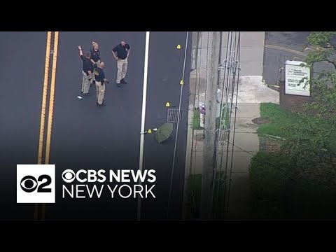 YouTube video thumbnail: Search on for Driver in Deadly Hit-and-Run in New Jersey