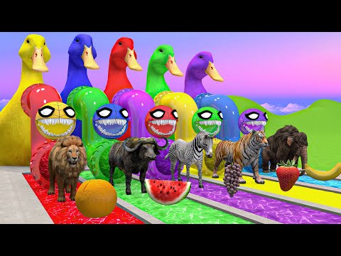 5 Giant Duck Cartoon,Cow,Zebra,Mammoth,Tiger, Paint Animals Wild Crossing Fountain Animation 2024