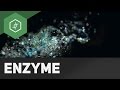 enzyme-im-alltag/