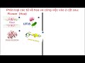 Phân loại từ vựng về hoa và công việc
