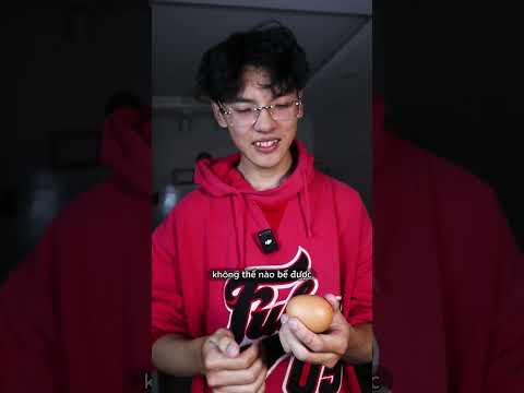 egg