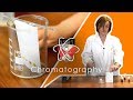 Chromatography Concepts and Applications