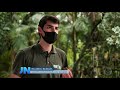 Conservation Efforts and Their Impact