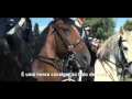 Symbolism and Themes in War Horse