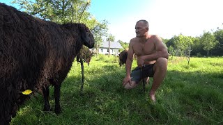 видео