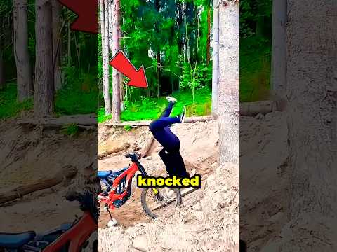 It's so logical to be a professional faller 😱