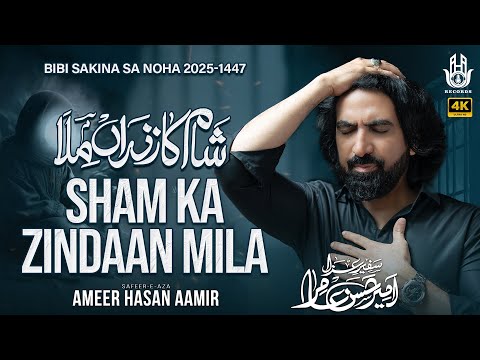 Nohay 2025 | Sham Ka Zindaan Mila | Ameer Hasan Aamir | Muharram Nohay 2025/1447