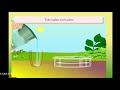 Effects of Surface Area on Evaporation