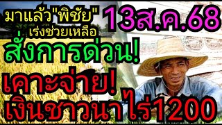 ชาวนาฟัง! เร่งช่วยเหลือ​นาปี/นาปรัง​ 13ส.ค.นี้​ เคาะจ่ายไร่ละ1200​ หลังข้าวแตะ5พัน/ตันแล้ว​ 11/8/68​