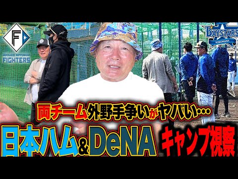 【春季キャンプ】日本ハム開幕4番内定"野村佑希"の調子は⁉︎DeNAはジャクソンが凄い⁉︎新庄監督と三浦監督と直接話して感じた事とは⁉︎高木豊が注目した2選手を発表します‼︎