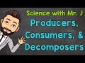 Exploring Ecosystem Roles: Producers, Consumers, and Decomposers