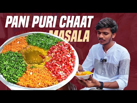 Hyderabadi Masala Papdi Chana Chaat | Pani Puri | Hyderabad Street Food