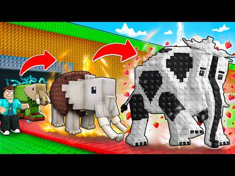 MY BRAINROT EVOLVES IN STEAL A BRAINROT ROBLOX !!