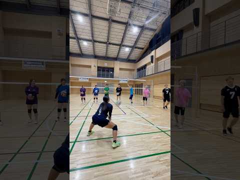 【バレー】反応反射🤣#wisteria #volleyball #バレーボール#haikyuu #ハイキュー#fypシ #fypシ