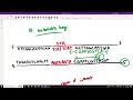 DNA Replication and Gel Electrophoresis