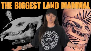 EXTINKED: Paraceratherium | Ep. 5 I Lindsay Nikole