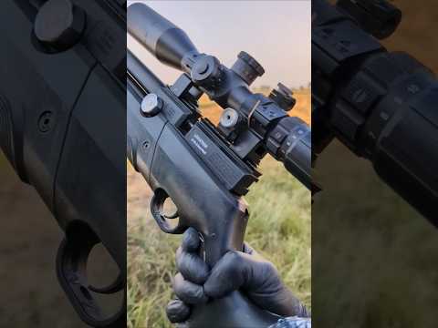 Nova Vista in FIELD!😍