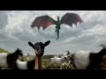 Understanding Dragons in Culture and Media