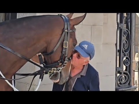 VETERAN EX KINGS TROOP 1956 KISSES THE HORSE #kingstroop 