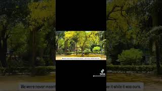 Let’s enjoy the moment 🍀❤️‍🩹 #shortvideo #viralvideo #fyi #aesthetic #aboutyou