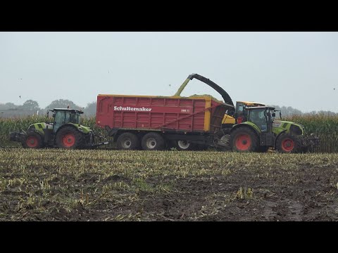 Laatste vracht mais hakselen in een modderige hoek van het veld door Rensen en Loman (2024)