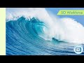 Science Olympiad: Waves and Strategies