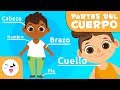 Conociendo el Cuerpo Humano