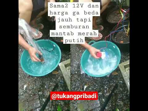 Pompa air 12V tenaga aki tapi semburannya beda jauh #short #pompaair #pompaminyak