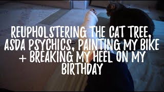 cat tree, psychics, painting & breaking my heel!