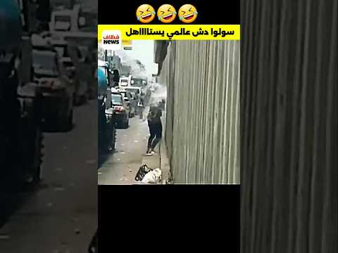 ايشرايكم يستاهل أو لا | تفاعلكم  #shorts #brasil
