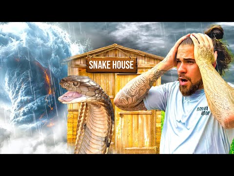 HURRICANE/TORNADO Almost Destroys my SNAKE House! (Aftermath Footage)