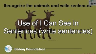 Use of I Can See in Sentences (write sentences)
