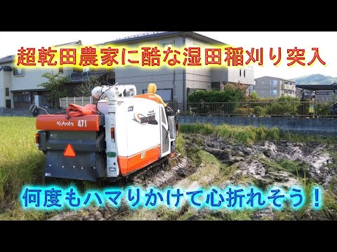 ひとめぼれ市街地の狭小軟弱田で大苦戦・とにかく泥片付けが大変でした・2024