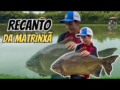 PESQUEIRO MINÚSCULO REFERÊNCIA NA PESCA DE GOIÁS