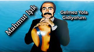 Mahmut Işık Gelmez Yola Gidiyorum
