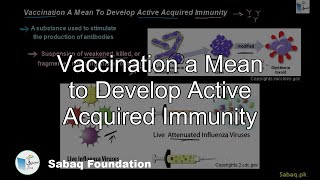 Vaccination a Mean to Develop Active Acquired Immunity