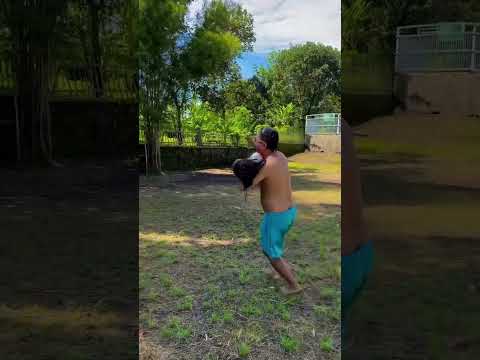 lea di culik bubun #music #love #shortvideo #funny #harusberanda #viralvideo #trendingnow