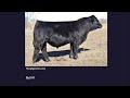 Simmental Bulls Performance Assessment