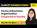 Understanding Cooperative Societies