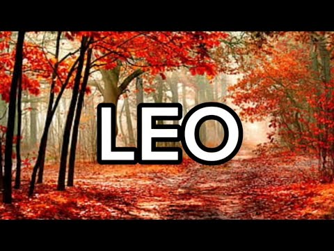 LEO ♌CON ESA PERSONA TE CASARAS, LE IMPORTAS MUCHO, SON ALMAS GEMELAS POR DESTINO❤