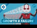 Evaluating Growth Strategies in Business