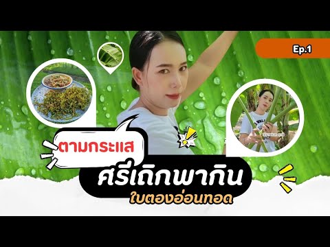 #ตามกระแสพี่ต๊อกแต๊ก #ใบตองทอด #โอ้มายครกคาเฟ่