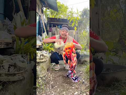 anomali udin kotor kita cuci sampai bersih !